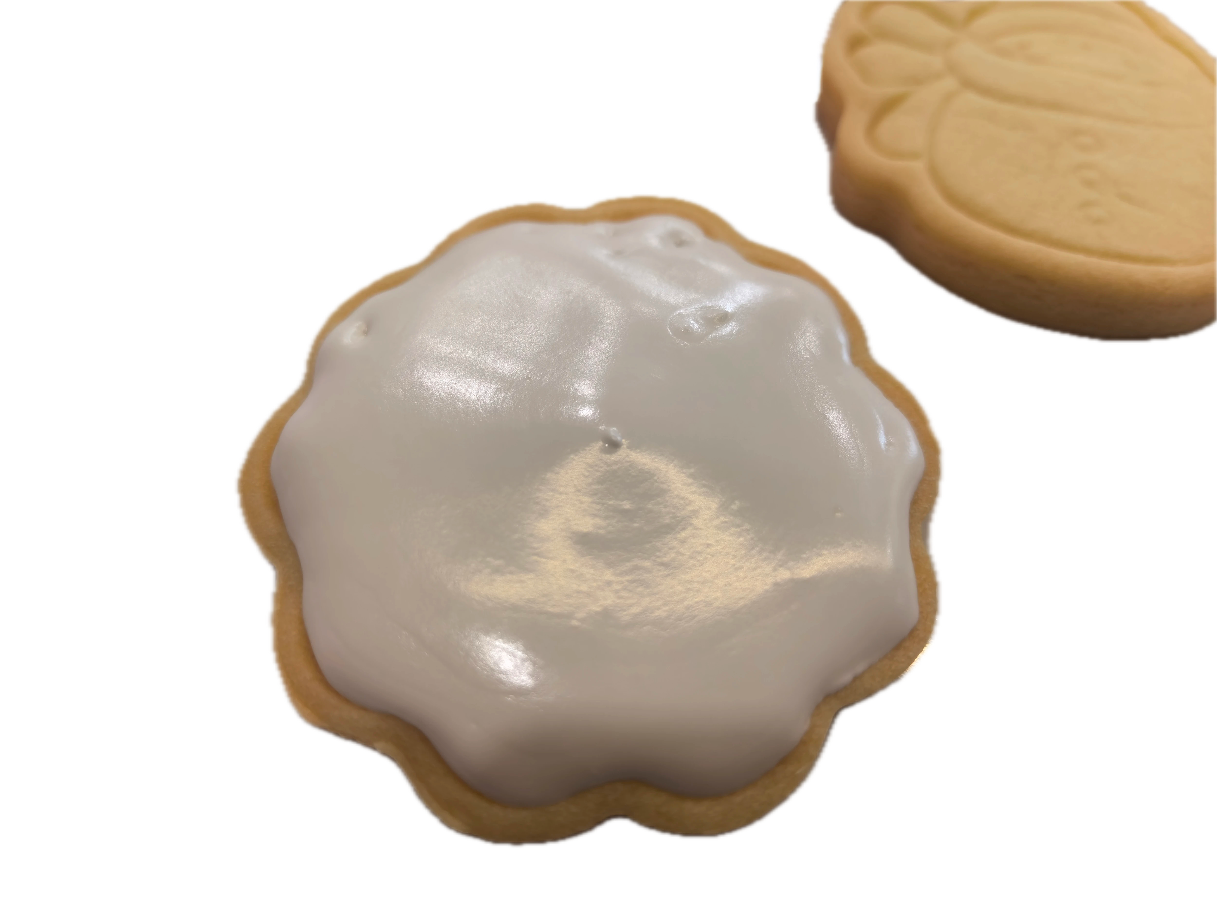 Actual transparent Finder output retaining a white-iced cookie and a second plain cookie.
