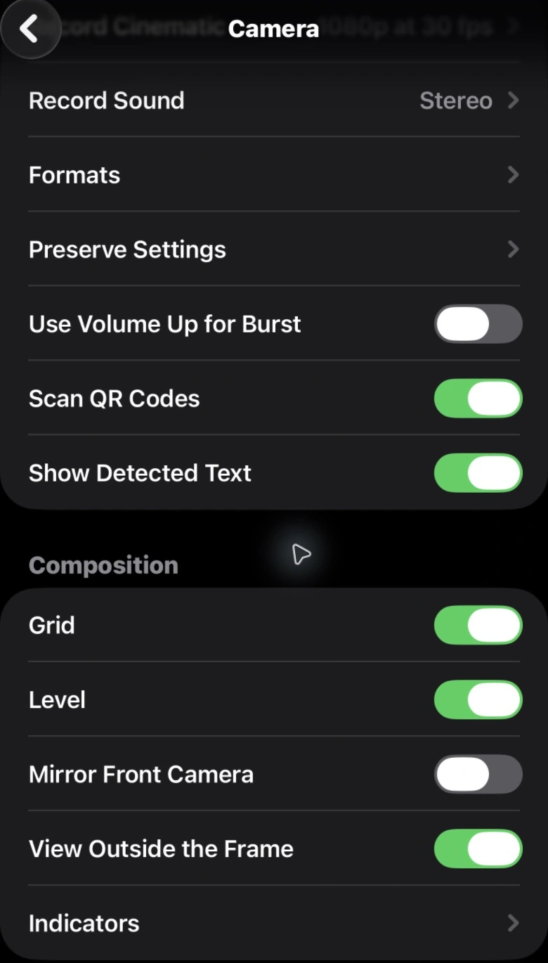 Actual iPhone Camera settings screenshot with Grid and Level enabled under Composition.
